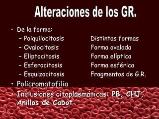 • De la forma:
– Poiquilocitosis Distintas formas
– Ovalocitosis Forma ovalada
– Eliptocitosis Forma elíptica
– Esferocitosis Forma esférica
– Esquizocitosis Fragmentos de G.R.
• PolicromatofiliaPolicromatofilia
• Inclusiones citoplasmáticas:Inclusiones citoplasmáticas: PB, CHJ,PB, CHJ,
Anillos de CabotAnillos de Cabot
 