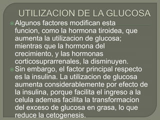  Algunos   factores modifican esta
  funcion, como la hormona tiroidea, que
  aumenta la utilizacion de glucosa;
  mientras que la hormona del
  crecimiento, y las hormonas
  corticosuprarrenales, la disminuyen.
 Sin embargo, el factor principal respecto
  es la insulina. La utilizacion de glucosa
  aumenta considerablemente por efecto de
  la insulina, porque facilita el ingreso a la
  celula ademas facilita la transformacion
  del exceso de glucosa en grasa, lo que
  reduce la cetogenesis.
 