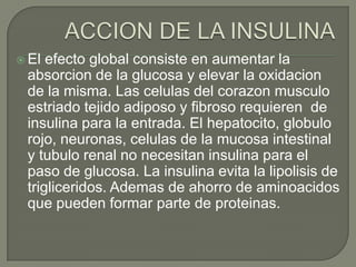  El efecto global consiste en aumentar la
 absorcion de la glucosa y elevar la oxidacion
 de la misma. Las celulas del corazon musculo
 estriado tejido adiposo y fibroso requieren de
 insulina para la entrada. El hepatocito, globulo
 rojo, neuronas, celulas de la mucosa intestinal
 y tubulo renal no necesitan insulina para el
 paso de glucosa. La insulina evita la lipolisis de
 trigliceridos. Ademas de ahorro de aminoacidos
 que pueden formar parte de proteinas.
 