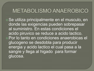  Se  utiliza principalmente en el musculo, en
  donde las exigencias pueden sobrepasar
  al suministro. En estas condiciones el
  acido piruvico se reduce a acido lactico.
 Por lo tanto en condiciones anaerobicas el
  glucogeno se desdobla para producir
  energia y acido lactico el cual pasa a la
  sangre y llega al higado para formar
  glucosa.
 