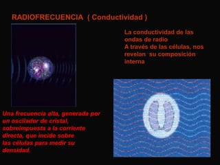 RADIOFRECUENCIA ( Conductividad )
La conductividad de las
ondas de radio
A través de las células, nos
revelan su composición
interna

Una frecuencia alta, generada por
un oscilador de cristal,
sobreimpuesta a la corriente
directa, que incide sobre
las células para medir su
densidad.

 