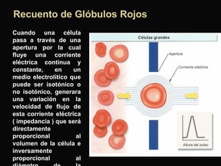 Recuento de Glóbulos Rojos
Cuando una célula
pasa a través de una
apertura por la cual
fluye una corriente
eléctrica continua y
constante,
en
un
medio electrolítico que
puede ser isotónico o
no isotónico, generara
una variación en la
velocidad de flujo de
esta corriente eléctrica
( impedancia ) que será
directamente
proporcional
al
volumen de la célula e
inversamente
proporcional
al

 