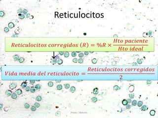 Reticulocitos




    Prieto / Balcells
 