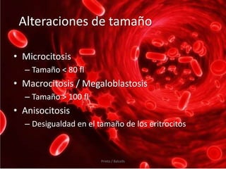 Alteraciones de tamaño

• Microcitosis
  – Tamaño < 80 fl
• Macrocitosis / Megaloblastosis
  – Tamaño > 100 fl
• Anisocitosis
  – Desigualdad en el tamaño de los eritrocitos



                       Prieto / Balcells
 