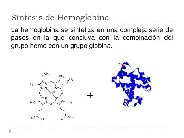 Nos daría las gracias en pirámide de la dieta mediterránea