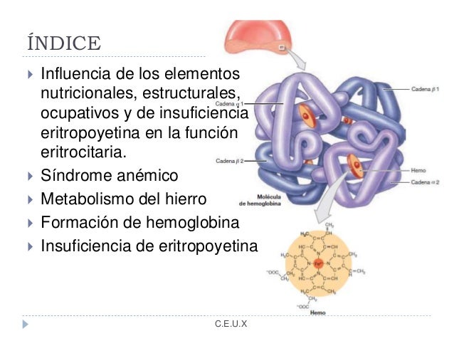5 maneras de luchar metabolismo lipoproteinas