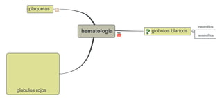 plaquetas


                                                  neutrofilos
                 hematologia   globulos blancos
                                                  eosinofilos




globulos rojos
 