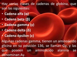 Hay varias clases de cadenas de globina, que 
son las siguientes: 
• Cadena alfa (α) 
• Cadena beta (β) 
• Cadena gamma (γ) 
• Cadena delta (δ) 
• Cadena épsilon (ε) 
Algunas cadenas gamma, tienen un aminoácido 
glicina en su posición 136, se llaman Gγ, y las 
que poseen un aminoácido alanina se 
denominan Aγ. 
 