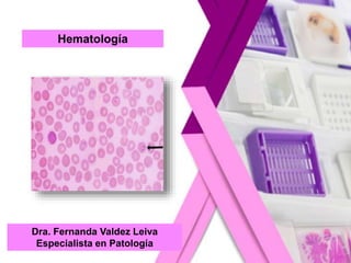 Hematología
Dra. Fernanda Valdez Leiva
Especialista en Patología
 