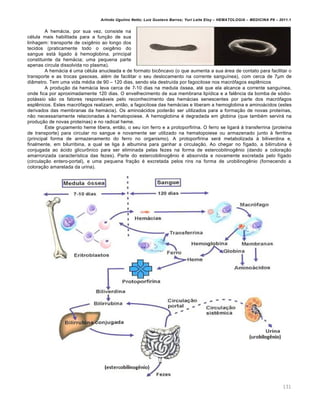 Arlindo Ugulino Netto; Luiz Gustavo Barros; Yuri Leite Eloy – HEMATOLOGIA – MEDICINA P8 – 2011.1
131
A hem„cia, por sua vez, consiste na
cƒlula mais habilitada para a fun•‚o de sua
linhagem: transporte de oxigŽnio ao longo dos
tecidos (praticamente todo o oxigŽnio do
sangue est„ ligado ‘ hemoglobina, principal
constituinte da hem„cia; uma pequena parte
apenas circula dissolvida no plasma).
A hem„cia ƒ uma cƒlula anucleada e de formato bic’ncavo (o que aumenta a sua „rea de contato para facilitar o
transporte e as trocas gasosas, alƒm de facilitar o seu deslocamento na corrente sangu†nea), com cerca de 7“m de
di‹metro. Tem uma vida mƒdia de 90 – 120 dias, sendo ela destru†da por fagocitose nos macr€fagos esplŽnicos
A produ•‚o da hem„cia leva cerca de 7-10 dias na medula €ssea, atƒ que ela alcance a corrente sangu†nea,
onde fica por aproximadamente 120 dias. O envelhecimento de sua membrana lip†dica e a falŽncia da bomba de s€dio-
pot„ssio s‚o os fatores respons„veis pelo reconhecimento das hem„cias senescentes por parte dos macr€fagos
esplŽnicos. Estes macr€fagos realizam, ent‚o, a fagocitose das hem„cias e liberam a hemoglobina e amino„cidos (estes
derivados das membranas da hem„cia). Os amino„cidos poder‚o ser utilizados para a forma•‚o de novas prote†nas,
n‚o necessariamente relacionadas ‘ hematopoiese. A hemoglobina ƒ degradada em globina (que tambƒm servir„ na
produ•‚o de novas prote†nas) e no radical heme.
Este grupamento heme libera, ent‚o, o seu †on ferro e a protoporfirina. O ferro se ligar„ ‘ transferrina (prote†na
de transporte) para circular no sangue e novamente ser utilizado na hematopoiese ou armazenado junto ‘ ferritina
(principal forma de armazenamento do ferro no organismo). A protoporfirina ser„ metabolizada ‘ biliverdina e,
finalmente, em bilurribina, a qual se liga ‘ albumina para ganhar a circula•‚o. Ao chegar no f†gado, a bilirrubina ƒ
conjugada ao „cido glicur’nico para ser eliminada pelas fezes na forma de estercobilinogŽnio (dando a colora•‚o
amarronzada caracter†stica das fezes). Parte do estercobilinogŽnio ƒ absorvida e novamente excretada pelo f†gado
(circula•‚o entero-portal), e uma pequena fra•‚o ƒ excretada pelos rins na forma de urobilinogŽnio (fornecendo a
colora•‚o amarelada da urina).
 