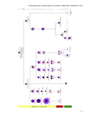 Arlindo Ugulino Netto; Luiz Gustavo Barros; Yuri Leite Eloy – HEMATOLOGIA – MEDICINA P8 – 2011.1
102
 
