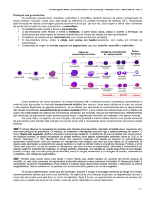 Arlindo Ugulino Netto; Luiz Gustavo Barros; Yuri Leite Eloy – HEMATOLOGIA – MEDICINA P8 – 2011.1
105
Produção dos granulócitos.
Os leuc€citos granuloc†ticos (bas€filos, eosin€filos e neutr€filos) tambƒm derivam da cƒlula comissionada de
tecido miel€ide. Contudo, neste caso, esta cƒlula se diferencia na unidade formadora de col’nias (CFU, respons„vel
pela forma•‚o de cƒlulas da linhagem granuloc†tica-monoc†tica) que, por sua vez, dar„ origem a cƒlula mais rudimentar
da escala de forma•‚o do setor granuloc†tico: o mieloblasto.
 O mieloblasto sofre mitose e forma o pró-mielócito.
 O pr€-meiol€cito sofre mitose e forma o mielócito. A partir desta cƒlula, passa a ocorrer a forma•‚o da
chanfradura que dar„ origem ao formato caracter†stico do nˆcleo das cƒlulas do setor granuloc†tico.
 O miel€cito se transforma em metamielócito (com nˆcleo em formato de feij‚o).
 O metamiel€tico forma, ent‚o, a célula com núcleo em bastão (bastonete, com nˆcleo em formato de
bumerangue).
 O bastonete d„ origem ‘s células com núcleo segmentado, que s‚o: basófilo, neutrófilo e eosinófilo.
Como podemos ver neste esquema, as cƒlulas formadas atƒ o miel€cito inclusive (mieloblasto, pr€-miel€cito e
miel€cito) s‚o agrupadas no chamado compartimento mitótico (em comum, todas estas cƒlulas se formam por mitose
e n‚o realizam fagocitose de agentes estranhos). J„ as cƒlulas que v‚o desde os metamiel€citos atƒ os segmentados
s‚o cƒlulas do chamado compartimento de reserva medular (CRM), e que existem na medula €ssea com o objetivo de
suprir uma necessidade na vigŽncia de um processo infeccioso, por exemplo. Isso se faz importante pois, diferentemente
das hem„cias, os granul€citos vivem apenas poucas horas: o segmentado neutr€filo, por exemplo, vive apenas 6 horas.
Por esta raz‚o, na vigŽncia de uma infec•‚o, n‚o seria poss†vel a medula €ssea fabricar uma grande demanda
de granul€citos para debelar esta infec•‚o em poucas horas. Da† a necessidade deste compartimento de reserva celular
medular.
OBS2
: ‡ comum observar no hemograma de pacientes com infec•‚o grave (apendicite, colecistite, amigdalite grave, pneumonia, etc.)
uma maior produ•‚o de granul€citos. Os mƒdicos, ao analisarem o hemograma, procuram logo a eventual presen•a de “desvio”. O
termo “desvio para esquerda” significa a libera•‚o e aumento das cƒlulas do compartimento de reserva medular. Isso ocorre porque,
em situa•…es normais, as cƒlulas encontradas no sangue perifƒrico ser‚o apenas segmentados neutr€filos (cerca de 75%) e, no
m„ximo, bastonetes (1 – 5%). Quando h„ “desvio para esquerda” (esquerda com rela•‚o ao esquema da granulocitopoese
apresentado anteriormente, como era mostrado em hemogramas mais antigos), quer dizer que mais cƒlulas do compartimento de
reserva est‚o alcan•ando o compartimento vascular perifƒrico no intuito de atender melhor ‘ emergŽncia infecciosa. Portanto, o termo
“desvio para esquerda”, no que diz respeito ao hemograma, quer dizer aumento de segmentados, bastonetes e metamiel€citos (no
m„ximo, podemos encontrar atƒ miel€citos) no sangue perifƒrico, traduzindo uma resposta da medula €ssea frente a uma infec•‚o,
fazendo com que haja uma maior produ•‚o de neutr€filos jovens no sangue, aumentando a porcentagem de bast…es, metamiel€citos
e miel€citos, com rela•‚o aos segmentados.
OBS3
: Tambƒm pode ocorrer desvio para direita. O termo "desvio para direita" significa um aumento das formas maduras de
neutr€filo, ou seja, maior percentual de segmentados (polimorfonucleares) e menor percentual de bast…es. O "desvio para direita" ƒ
caracter†stico da anemia megalobl„stica (muito embora a ausŽncia deste desvio jamais poder„ descartar o diagn€stico da anemia
megalobl„stica). Quando presente em um paciente com anemia macroc†tica, passa a ser um dado sugestivo.
As cƒlulas segmentadas, assim que s‚o formadas, passam a ocupar a circula•‚o perifƒrica ao longo de 6 horas,
aproximadamente (tempo que dura a sua sobrevida). Na vigŽncia de uma infec•‚o localizada, os segmentados de todo o
corpo s‚o destinados para este foco no intuito de debel„-lo. Ap€s 6 horas, os segmentados se aderem ‘s paredes dos
vasos com o objetivo de alcan•ar os tecidos, onde v‚o sofrer catabolismo e serem destru†das.
 