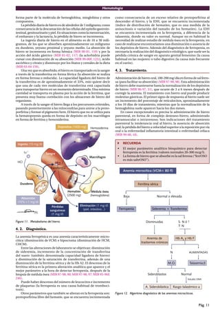 Hematología
Pág. 11
forma parte de la molécula de hemoglobina, mioglobina y otros
compuestos.
La pérdida diaria de hierro es de alrededor de 1 miligramo, como
consecuencia de la descamación de las células del epitelio gastroin-
testinal,genitourinarioypiel.Ensituacionescomolamenstruación,
el embarazo y la lactancia, la pérdida de hierro se incrementa.
La ingesta diaria de hierro en el alimento es de 10 a 30 mili-
gramos, de los que se absorben aproximadamente un miligramo
en duodeno, yeyuno proximal y yeyuno medio. La absorción de
hierro se incrementa en forma hémica (MIR 00-01, 110) y por la
acción del ácido gástrico (MIR 01-02, 117) (la aclorhidria puede
cursar con disminución de su absorción (MIR 99-00F, 125)), ácido
ascórbico y citrato y disminuye por los ﬁtatos y cereales de la dieta
(MIR 03-04 159).
Una vez que es absorbido, el hierro es transportado en la sangre
a través de la transferrina en forma férrica (la absorción se realiza
en forma ferrosa o reducida). La capacidad ligadora del hierro de
la transferrina es de aproximadamente el 33%, esto quiere decir
que una de cada tres moléculas de transferrina está capacitada
para transportar hierro en un momento determinado. Una mínima
cantidad se transporta en plasma por la acción de la ferritina, que
presenta muy buena correlación con los almacenes de hierro del
organismo.
A través de la sangre el hierro llega a los precursores eritroides,
pasando posteriormente a las mitocondrias para unirse a la proto-
porﬁrina y formar el pigmento hem. El hierro que no se utiliza para
la hematopoyesis queda en forma de depósito en los macrófagos
en forma de ferritina y hemosiderina.
Figura 11. Metabolismo del hierro.
4. 2. Diagnóstico.
La anemia ferropénica es una anemia característicamente micro-
cítica (disminución de VCM) e hipocroma (disminución de HCM,
CHCM).
Entre las alteraciones de laboratorio se objetivan: disminución
de sideremia, incremento de la concentración de transferrina
del suero (también denominada capacidad ligadora de hierro)
y disminución de la saturación de transferrina, además de una
disminución de la ferritina sérica y de la Hb A2. El descenso de la
ferritina sérica es la primera alteración analítica que aparece y el
mejor parámetro a la hora de detectar ferropenia, después de la
biopsia de médula ósea (MIR 97-98, 90; MIR 97-98, 97; MIR 95-96F,
246).
Puede haber descenso del número de leucocitos e incremento
de plaquetas (la ferropenia es una causa habitual de tromboci-
tosis).
Otros parámetros que también se alteran en la ferropenia son:
protoporﬁrina libre del hematíe, que se encuentra incrementada
como consecuencia de un exceso relativo de protoporﬁrina al
descender el hierro, y la IDH, que se encuentra incrementada
(índice de distribución de hematíes, que es una medida de la
anisocitosis o variación del tamaño de los hematíes). La IDH
se encuentra incrementada en la ferropenia, a diferencia de la
talasemia, donde su valor es normal. Aunque no es habitual la
necesidad de realizar estudio de médula ósea en la ferropenia, en
caso de realizarse encontraríamos una disminución o ausencia de
los depósitos de hierro. Además del diagnóstico de ferropenia, es
necesaria la realización del diagnóstico etiológico, que suele ser la
pérdida crónica de sangre en aparato genital femenino (la causa
habitual en las mujeres) o tubo digestivo (la causa más frecuente
en el varón).
4. 3. Tratamiento.
Administración de hierro oral, 100-200 mg/día en forma de sal ferro-
sa (para facilitar su absorción) (MIR 97-98, 98). Esta administración
de hierro debe mantenerse hasta la normalización de los depósitos
de hierro (MIR 96-97, 31), que ocurre de 3 a 6 meses después de
corregir la anemia. El tratamiento con hierro oral puede producir
molestias gástricas. El primer signo de respuesta al hierro suele ser
un incremento del porcentaje de reticulocitos, aproximadamente
a los 10 días de tratamiento, mientras que la normalización de la
hemoglobina suele aparecer hacia los dos meses.
En casos excepcionales es precisa la administración de hierro
parenteral, en forma de complejo dextrano-hierro, administrado
intramuscular o intravenoso. Son indicaciones del tratamiento
parenteral la intolerancia oral al hierro, la ausencia de absorción
oral, la pérdida del hierro a velocidad superior a la reposición por vía
oral o la enfermedad inﬂamatoria intestinal o enfermedad celíaca
(MIR 99-00, 18).
RECUERDA
• El mejor parámetro analítico bioquímico para detectar
ferropenia es la ferritina (valores normales 20-300 mcg/l).
• La forma de hierro que se absorbe es la sal ferrosa (“ferrOSO
es más sabrOSO”).
Figura 12. Algoritmo diagnóstico de las anemias microcíticas.
 