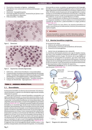 miniMANUAL 1 CTO
Pág. 4
• Dacriocitos o hematíes en lágrima - mieloptisis.
• Poiquilocitos (son variaciones en la forma del hematíe) - mie-
lodisplasia.
• Dianocitos - hemoglobinopatías.
• Punteado basóﬁlo prominente - intoxicación por plomo o ane-
mias sideroblásticas, talasemias-.
• Policromatóﬁlos - hemólisis.
Figura 2. Dianocitosis.
Figura 3. Esquistocitos o hematíes fragmentados.
• Esferocitos - esferocitosis hereditaria o inmunohemólisis.
• CuerposdeHeinz(seproducenpordesnaturalizacióndelahemog-
lobina)-hemólisisporoxidantesendeﬁcienciadeglucosa6fosfato
deshidrogenasa o hemoglobinopatías y esplenectomizados.
• Esquistocitos o hematíes fragmentados - hemólisis traumática.
• Cuerpos de Howell-Jolly - hipoesplenismo (MIR 02-03, 71).
TEMA 2. ANEMIAS HEMOLÍTICAS.
2. 1. Generalidades.
Se denomina hemólisis a la destrucción de hematíes. Si la destruc-
cióndehematíesessuperioralavelocidadderegeneraciónmedular,
sobreviene la anemia.
Según que la causa de la anemia hemolítica corresponda a un
defecto propio del hematíe o a una acción externa al mismo, se cla-
siﬁcanlasanemiasen:hemolíticasdecausaintracorpuscularoextra-
corpuscular. Las hemólisis hereditarias son intracorpusculares y las
adquiridasextracorpusculares,exceptolahemoglobinuriaparoxística
nocturna(MIR94-95,213).Asimismosepuedenclasiﬁcarlasanemias
hemolíticas en virtud del lugar donde ocurre fundamentalmente la
hemólisis,denominándoseentonceshemólisisintravascularaquella
donde la destrucción de hematíes ocurre fundamentalmente en el
aparatocirculatorioyhemólisisextravascularalaquetienelugarpre-
dominantemente en el bazo. Como consecuencia de la destrucción
dehematíesseproduceunincrementodeLDHséricaydebilirrubina
indirecta en el suero. En el caso de las hemólisis intravasculares, la
liberación de hemoglobina desde el interior del hematíe produce
una disminución de una proteína sérica denominada haptoglobina,
que es la proteína a la que se une la hemoglobina liberada, produ-
ciéndose una disminución de la haptoglobina libre (MIR 94-95, 23).
El pigmento hem de la hemoglobina puede también unirse a otra
proteína transportadora denominada hemopexina. Si la hemólisis
intravascular es severa, se produce un agotamiento de la haptoglo-
binalibre,conlocualquedahemoglobinasueltaenelplasma,queal
llegar al glomérulo renal puede ﬁltrarse en el mismo y aparecer en la
orina. Por dicho motivo, la presencia de hemoglobinuria se traduce
siempre en una hemólisis de predominio intravascular, y además de
características severas. Lo que no se encuentra en la orina es bilirru-
bina indirecta, ya que esta no puede ﬁltrarse en el riñón.
Como compensación a la destrucción de hematíes se produce
una respuesta medular, la cual se traduce en un incremento de la
cantidad de reticulocitos y policromatóﬁlos en sangre periférica
(MIR 97-98F, 227).
Desde el punto de vista clínico, las anemias hemolíticas se
suelen caracterizar por la tríada anemia, ictericia y frecuentemente
esplenomegalia.
RECUERDA
Anemia hemolítica: aumento de LDH, bilirrubina indirecta,
disminución de haptoglobina y elevación de los reticulocitos.
2. 2. Anemias hemolíticas congénitas.
Se reconocen tres tipos.
1. Defectos de membrana del hematíe.
2. Enzimopatías o trastornos del metabolismo del hematíe.
3. Trastorno de la hemoglobina.
1. DEFECTOS DE MEMBRANA DEL HEMATÍE.
La membrana del hematíe presenta una capa de lípidos externa,
que tiene como ﬁnalidad el aislamiento del hematíe e impedir la
permeabilidad excesiva al agua. Por dentro de la capa lipídica se
encuentra un citoesqueleto de proteínas, que tiene como ﬁnali-
dad mantener los lípidos en la membrana del hematíe y facilitar la
adaptación de la morfología del hematíe en las diferentes zonas de
la microcirculación. Entre las proteínas de membrana del hematíe,
la más importante recibe el nombre de espectrina.
Esferocitosis Hereditaria. Es la anemia hemolítica congénita
más frecuente (MIR 99-00F, 126).
Figura 4. Patogenia de la esferocitosis.
 