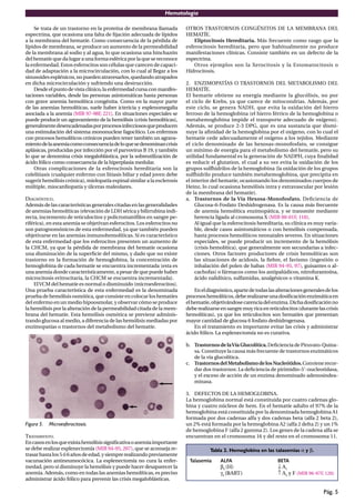 Hematología
Pág. 5
Se trata de un trastorno en la proteína de membrana llamada
espectrina, que ocasiona una falta de ﬁjación adecuada de lípidos
a la membrana del hematíe. Como consecuencia de la pérdida de
lípidos de membrana, se produce un aumento de la permeabilidad
de la membrana al sodio y al agua, lo que ocasiona una hinchazón
del hematíe que da lugar a una forma esférica por la que se reconoce
la enfermedad. Estos esferocitos son células que carecen de capaci-
dad de adaptación a la microcirculación, con lo cual al llegar a los
sinusoidesesplénicos,nopuedenatravesarlos,quedandoatrapados
en dicha microcirculación y sufriendo una destrucción.
Desde el punto de vista clínico, la enfermedad cursa con manifes-
taciones variables, desde las personas asintomáticas hasta personas
con grave anemia hemolítica congénita. Como en la mayor parte
de las anemias hemolíticas, suele haber ictericia y esplenomegalia
asociada a la anemia (MIR 97-98F, 221). En situaciones especiales se
puede producir un agravamiento de la hemólisis (crisis hemolíticas),
generalmentedesencadenadasporprocesosinfecciososqueproducen
una estimulación del sistema mononuclear fagocítico. Los enfermos
con procesos hemolíticos crónicos pueden tener también un agrava-
mientodelaanemiacomoconsecuenciadeloquesedenominancrisis
aplásicas, producidas por infección por el parvovirus B 19, y también
lo que se denomina crisis megaloblástica, por la sobreutilización de
ácido fólico como consecuencia de la hiperplasia medular.
Otras complicaciones de la esferocitosis hereditaria son la
colelitiasis (cualquier enfermo con litiasis biliar y edad joven debe
sugerir hemólisis crónica), mielopatía espinal similar a la esclerosis
múltiple, miocardiopatía y úlceras maleolares.
DIAGNÓSTICO.
Además de las características generales citadas en las generalidades
de anemias hemolíticas (elevación de LDH sérica y bilirrubina indi-
recta, incremento de reticulocitos y policromatóﬁlos en sangre pe-
riférica), en esta anemia se objetivan esferocitos. Los esferocitos no
son patognomónicos de esta enfermedad, ya que también pueden
objetivarse en las anemias inmunohemolíticas. Sí es característico
de esta enfermedad que los esferocitos presenten un aumento de
la CHCM, ya que la pérdida de membrana del hematíe ocasiona
una disminución de la superﬁcie del mismo, y dado que no existe
trastorno en la formación de hemoglobina, la concentración de
hemoglobina de cada hematíe se encuentra incrementada (esta es
una anemia donde característicamente, a pesar de que puede haber
microcitosis eritrocitaria, la CHCM se encuentra incrementada).
ElVCM del hematíe es normal o disminuido (microesferocitos).
Una prueba característica de esta enfermedad es la denominada
prueba de hemólisis osmótica, que consiste en colocar los hematíes
del enfermo en un medio hipoosmolar, y observar cómo se produce
la hemólisis por la alteración de la permeabilidad citada de la mem-
brana del hematíe. Esta hemólisis osmótica se previene adminis-
trando glucosa al medio, a diferencia de las hemólisis mediadas por
enzimopatías o trastornos del metabolismo del hematíe.
Figura 5. Microesferocitosis.
TRATAMIENTO.
Encasosenlosqueexistahemólisissigniﬁcativaoanemiaimportante
se debe realizar esplenectomía (MIR 94-95, 207), que se aconseja re-
trasarhastalos5ó6añosdeedad,ysiemprerealizandopreviamente
vacunación antineumocócica. La esplenectomía no cura la enfer-
medad, pero sí disminuye la hemólisis y puede hacer desaparecer la
anemia. Además, como en todas las anemias hemolíticas, es preciso
administrar ácido fólico para prevenir las crisis megaloblásticas.
OTROS TRASTORNOS CONGÉNITOS DE LA MEMBRANA DEL
HEMATÍE.
Eliptocitosis Hereditaria. Más frecuente como rasgo que la
esferocitosis hereditaria, pero que habitualmente no produce
manifestaciones clínicas. Consiste también en un defecto de la
espectrina.
Otros ejemplos son la Xerocitosis y la Estomatocitosis o
Hidrocitosis.
2. ENZIMOPATÍAS O TRASTORNOS DEL METABOLISMO DEL
HEMATÍE.
El hematíe obtiene su energía mediante la glucólisis, no por
el ciclo de Krebs, ya que carece de mitocondrias. Además, por
este ciclo, se genera NADH, que evita la oxidación del hierro
ferroso de la hemoglobina (el hierro férrico de la hemoglobina o
metahemoglobina impide el transporte adecuado de oxígeno).
Además, se produce 2-3 DPG, que es una sustancia que dismi-
nuye la aﬁnidad de la hemoglobina por el oxígeno, con lo cual el
hematíe cede adecuadamente el oxígeno a los tejidos. Mediante
el ciclo denominado de las hexosas-monofosfato, se consigue
un mínimo de energía para el metabolismo del hematíe, pero su
utilidad fundamental es la generación de NADPH, cuya ﬁnalidad
es reducir el glutation, el cual a su vez evita la oxidación de los
grupos sulfhidrilos de la hemoglobina (la oxidación de los grupos
sulfhidrilo produce también metahemoglobina, que precipita en
el interior del hematíe, ocasionando los denominados cuerpos de
Heinz, lo cual ocasiona hemólisis intra y extravascular por lesión
de la membrana del hematíe).
a. Trastornos de la Vía Hexosa-Monofosfato. Deﬁciencia de
Glucosa-6-Fosfato Deshidrogenasa. Es la causa más frecuente
de anemia hemolítica enzimopática, y se transmite mediante
herencia ligada al cromosoma X (MIR 00-01F, 118).
Al igual que la esferocitosis hereditaria, su clínica es muy varia-
ble, desde casos asintomáticos o con hemólisis compensada,
hasta procesos hemolíticos neonatales severos. En situaciones
especiales, se puede producir un incremento de la hemólisis
(crisis hemolítica), que generalmente son secundarias a infec-
ciones. Otros factores productores de crisis hemolíticas son
las situaciones de acidosis, la ﬁebre, el favismo (ingestión o
inhalación del polen de habas (MIR 94-95, 97), guisantes o al-
cachofas) o fármacos como los antipalúdicos, nitrofurantoína,
ácido nalidíxico, sulfamidas, analgésicos o vitamina K.
Eneldiagnóstico,apartedetodaslasalteracionesgeneralesdelos
procesoshemolíticos,deberealizarseunadosiﬁcaciónenzimáticaen
elhematíe,objetivándosecarenciadelenzima.Dichadosiﬁcaciónno
debe realizarse en sangre muy rica en reticulocitos (durantelascrisis
hemolíticas), ya que los reticulocitos son hematíes que presentan
mayor cantidad de glucosa 6 fosfato deshidrogenasa.
En el tratamiento es importante evitar las crisis y administrar
ácido fólico. La esplenectomía no es curativa.
b. Trastornos de laVía Glucolítica.Deﬁciencia de Piruvato-Quina-
sa. Constituye la causa más frecuente de trastornos enzimáticos
de la vía glucolítica.
c. TrastornosdelMetabolismodelosNucleótidos.Convienerecor-
dar dos trastornos: La deﬁciencia de pirimidin-5’-nucleotidasa,
y el exceso de acción de un enzima denominado adenosindea-
minasa.
3. DEFECTOS DE LA HEMOGLOBINA.
La hemoglobina normal está constituida por cuatro cadenas glo-
bina y cuatro núcleos de hem. En el hematíe adulto el 97% de la
hemoglobina está constituida por la denominada hemoglobina A1
formada por dos cadenas alfa y dos cadenas beta (alfa 2 beta 2),
un 2% está formada por la hemoglobina A2 (alfa 2 delta 2) y un 1%
de hemoglobina F (alfa 2 gamma 2). Los genes de la cadena alfa se
encuentran en el cromosoma 16 y del resto en el cromosoma 11.
Tabla 2. Hemoglobina en las talasemias α y β.
Talasemia ALFA BETA
β4
(H) ↓ A1
γ4
(ΒART) ↑ A2
y F (MIR 96-97F, 126)
 