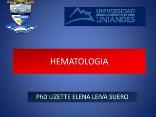 HEMATOLOGIA
PhD LIZETTE ELENA LEIVA SUERO
 