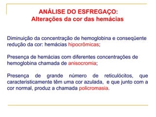 ANÁLISE DO ESFREGAÇO: Alterações da cor das hemácias Diminuição da concentração de hemoglobina e conseqüente redução da cor: hemácias  hipocrômicas ; Presença de hemácias com diferentes concentrações de hemoglobina chamada de  anisocromia ; Presença de grande número de reticulócitos, que caracteristicamente têm uma cor azulada,  e que junto com a cor normal, produz a chamada  policromasia . 