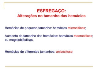 ESFREGAÇO: Alterações no tamanho das hemácias Hemácias de pequeno tamanho: hemácias  microcíticas ; Aumento do tamanho das hemácias: hemácias   macrocíticas ; ou megaloblásticas. Hemácias de diferentes tamanhos:  anisocitose ; 