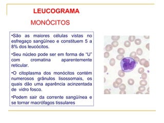 LEUCOGRAMA São as maiores células vistas no esfregaço sangüíneo e constituem 5 a 8% dos leucócitos.  Seu núcleo pode ser em forma de “U” com cromatina aparentemente reticular.  O citoplasma dos monócitos contém numerosos grânulos lisossomais, os quais dão uma aparência acinzentada de  vidro fosco.  Podem sair da corrente sangüínea e se tornar macrófagos tissulares MONÓCITOS 