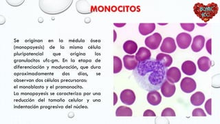 Hematologia 4 linfopoyesis. Ucebol...... | PDF