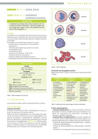 H e m a t o l o g í a
11] ANEMIAS. GENERALIDADES [
Concepto
Las anemias son la patología más frecuente de la serie roja y se
caracterizan por una disminución de la masa eritrocitaria habi-
tual, que resulta insuficiente para aportar el oxígeno necesario
a los tejidos.
Para evaluar una anemia hay que tener en cuenta:
- Historia clínica y exploración física del paciente.
- Hemograma:
• Número de hematíes (que puede ser normal).
• Hemoglobina (Hb).
• Hematocrito (Hto.)
• Índices reticulocitarios: VCM, HCM,...
• Determinación de reticulocitos.
- Estudio completo del metabolismo férrico.
- Morfología eritrocitaria (frotis de sangre periférica): opcional.
1.1.- Tipos de anemias
Las anemias se pueden clasificar siguiendo distintos criterios.
Criterio morfológico
Volumen (tamaño)
Se dividen en macrocíticas (VCM >100 fentolitros o micras cú-
bicas), normocíticas y microcíticas (<80 fl).
Todas las anemias megaloblásticas son macrocíticas pero algu-
nas de las anemias macrocíticas no son megaloblásticas. Las
anemias secundarias a hipotiroidismo, hepatopatía crónica,
junto con alcoholismo y reticulocitos aumentados son causas de
macrocitosis sin megaloblastosis (MIR 04, 64). Además, pode-
mos encontrar una falsa macrocitosis en caso de sangrado
agudo o hemólisis porque los reticulocitos son considerados
erróneamente, por el contador como hematíes grandes.
Contenido de hemoglobina (color)
Hipercromas (HCM >32 pg), normocromas e hipocromas (HCM
<28 pg).
Criterio etiopatogénico
- Anemias regenerativas (ej. anemias hemolíticas, hemorra-
gias agudas o crónicas): aquellas en las que se produce un au-
mento de reticulocitos por destrucción aumentada de
hematíes o pérdidas sanguíneas.
- Anemias hipo o arregenerativas (ej. el resto): aquellas con
un número normal o disminuido de reticulocitos porque la ca-
pacidad regenerativa de la médula ósea está disminuida por:
• Lesión de células progenitoras pluripotenciales: a. aplásica,
síndromes mielodisplásicos.
• Lesión de células progenitoras comprometidas: eritroblas-
topenia.
• Trastorno en la maduración de precursores eritropoyéticos:
SERIE ROJA
TEMA 1 ANEMIAS
GENERALIDADES
Es importante que tengas claros ciertos conceptos como ma-
crocitosis-microcitosis, reticulocitos... Memoriza aquellos valo-
res normales que te vayan a servir en las preguntas tipo caso
clínico (VCM, hemoglobina,...).
ENFOQUE MIR
Hematíes:
varón: 4,5-5 mill/mm3
mujer: 4-4,5 mill/mm3
VALORES NORMALES
Hemoglobina:
varón: 13-18 g/dl (130-180 g/l)
mujer: 12-16 g/dl
Hematocrito: 40-50%
VCM: 80-100 fl CCMH: 32-36 g/dl
HCM: 28-32 pg ADE: 11,5-14,5%
- VCM: volumen corpuscular medio.
- HCM: hemoglobina corpuscular media.
- CCMH: concentración corpuscular media de Hb.
- ADE: ancho de distribución eritrocitaria. Mide la variación del tamaño de los
hematíes o anisocitosis.
Tabla 1. Valores normales en la serie roja.
Figura 1. Células sanguíneas.
Eosinófilos
Neutrófilos
Basófilos
Hematíes
A. NORMOCÍTICAS
(VCM N)
A. MACROCÍTICAS
(VCM ↑)
A. MICROCÍTICAS
(VCM ↓)
- A. de tipo inflamatorio
(la más frecuente)
- A. Hemolíticas
- Anemia aplásica
(la mayoría)
- Mixedema
(MIR 97F, 129)
- Pérdidas agudas
- Invasión medular
- Hepatopatía (a veces)
- A. Sideroblásticas
adquiridas
- A. Ferropénica
(la más frecuente)
- Talasemias
- Hemoglobinopatías
- A. de tipo inflamatorio
- A. Sideroblásticas
hereditarias
- Uremia
- Intoxicación por
plomo
- A. Megaloblásticas
- Hepatopatía cr.
- Alcoholismo
- Síndromes
mielodisplásicos
- Reticulocitosis
- Hipotiroidismo
- A.Sideroblásticas
adquiridas
- Anemia aplásica
- Administración
de citostáticos
Tabla 2. Clasificación de las anemias según los índices eritrocitarios.
 