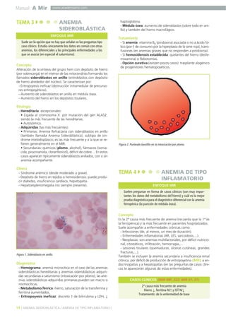 Manual A Mir
14 ] ANEMIA SIDEROBLÁSTICA / ANEMIA DE TIPO INFLAMATORIO [
www.academiamir.com
Concepto
Alteración de la síntesis del grupo hem con depósito de hierro
(por sobrecarga) en el interior de las mitocondrias formando los
llamados sideroblastos en anillo (eritroblastos con depósito
de hierro alrededor del núcleo). Se caracterizan por:
- Eritropoyesis ineficaz (destrucción intramedular de precurso-
res eritropoyéticos).
- Aumento de sideroblastos en anillo en médula ósea.
- Aumento del hierro en los depósitos tisulares.
Etiología
- Hereditaria: excepcionales:
• Ligada al cromosoma X: por mutación del gen ALAS2,
siendo la más frecuente de las hereditarias.
• Autosómica.
- Adquiridas (las más frecuentes):
• Primarias: Anemia Refractaria con sideroblastos en anillo
(también llamada Anemia Sideroblástica), subtipo de sín-
drome mielodisplásico, es las más frecuente y a la que se re-
fieren generalmente en el MIR.
• Secundarias: químicos (plomo, alcohol), fármacos (isonia-
cida, piracinamida, cloranfenicol), déficit de cobre… En estos
casos aparecen típicamente sideroblastos anillados, con o sin
anemia acompañante.
Clínica
- Síndrome anémico (desde moderado a grave).
- Depósito de hierro en tejidos o hemosiderosis: puede produ-
cir diabetes, insuficiencia cardíaca, hepatopatía.
- Hepatoesplenomegalia (no siempre presente).
Diagnóstico
- Hemograma: anemia microcítica en el caso de las anemias
sideroblásticas hereditarias y anemias sideroblásticas adquiri-
das secundarias a saturnismo (intoxicación por plomo); las ane-
mias sideroblásticas adquiridas primarias pueden ser macro o
normocíticas.
- Metabolismo férrico: hierro, saturación de la transferrina y
ferritina aumentados.
- Eritropoyesis ineficaz: discreto ↑ de bilirrubina y LDH, ↓
haptoglobina.
- Médula ósea: aumento de sideroblastos (sobre todo en ani-
llo) y también del hierro macrofágico.
Tratamiento
- Si anemia: vitamina B6 (piridoxina) asociada o no a ácido fó-
lico (por ↑ de consumo por la hiperplasia de la serie roja), trans-
fusiones (en anemias graves que no responden a piridoxina).
- Si hemosiderosis establecida: quelantes del hierro (desfe-
rroxamina) o flebotomías.
- Opción curativa (existen pocos casos): trasplante alogénico
de progenitores hematopoyéticos.
Concepto
Es la 2ª causa más frecuente de anemia (recuerda que la 1ª es
la ferropénica) y la más frecuente en pacientes hospitalizados.
Suele acompañar a enfermedades crónicas como:
- Infecciones (de, al menos, un mes de duración).
- Enfermedades inflamatorias (AR, LES, sarcoidosis,...).
- Neoplasias: son anemias multifactoriales, por déficit nutricio-
nal, citostáticos, infiltración, hemorragia,...
- Lesiones tisulares (quemaduras, úlceras cutáneas, grandes
fracturas,...).
También se incluyen la anemia secundaria a insuficiencia renal
crónica, por déficit de producción de eritropoyetina (MIR), a en-
docrinopatías y a hepatopatías (en las preguntas de casos clíni-
cos te aparecerán algunas de estas enfermedades).
TEMA 3 ANEMIA
SIDEROBLÁSTICA
Suele ser la opción que no hay que señalar en las preguntas tipo
caso clínico. Estudia únicamente los datos en común con otras
anemias, los diferenciales y las principales enfermedades a las
que se asocia (en especial el saturnismo).
ENFOQUE MIR
Figura 1. Sideroblasto en anillo.
Figura 2. Punteado basófilo en la intoxicación por plomo.
TEMA 4 ANEMIA DE TIPO
INFLAMATORIO
Suelen preguntar en forma de casos clínicos (son muy impor-
tantes los datos del metabolismo del hierro) y cuál es la mejor
prueba diagnóstica para el diagnóstico diferencial con la anemia
ferropénica (la punción de médula ósea).
ENFOQUE MIR
2ª causa más frecuente de anemia
Hierro ↓, ferritina N/↑ y IST N/↓
Tratamiento: de la enfermedad de base
CASOS CLÍNICOS (MIR 98F, 222; MIR 97, 37)
 