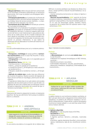 H e m a t o l o g í a
15] ANEMIA MIELOPTÍSICA / APLASIA MEDULAR [
Etiopatogenia
- Bloqueo del hierro: defecto de paso del hierro almacenado
en los macrófagos al hematíe en desarrollo por un mecanismo
desconocido, con lo que se produce una eritropoyesis defici-
taria en hierro.
- Eritropoyesis disminuida por la producción insuficiente de
eritropoyetina (EPO) o de otros factores (andrógenos, hormo-
nas tiroideas, factor de necrosis tumoral, interferón,...), o bien,
por alteración de la respuesta a los mismos.
- Acortamiento de la vida media del hematíe por aumento
de la actividad eritrofagocitaria.
- Recientemente se ha implicado en la patogenia a la proteína
Hepcidina, que puede ser considerada la hormona reguladora
del metabolismo del hierro. Su efecto es negativo sobre la ab-
sorción del hierro a nivel intestinal (por lo que produciría des-
censo de los niveles séricos de Fe) e impide la liberación del
hierro desde los macrófagos a los precursores eritroides (acú-
mulo de Fe en depósitos con ferritina alta). Se estimula su pro-
ducción en procesos inflamatorios, lo que explica las
alteraciones férricas detectadas en la anemia de trastornos cró-
nicos (MIR 07, 110).
Clínica
Es la de la enfermedad de base junto con un síndrome anémico.
Diagnóstico
- Hemograma y morfología de sangre periférica: normocí-
tica-normocrómica siendo la causa más frecuente. A veces,
microcítica e hipocroma.
- Eritropoyetina: aumentada, pero no lo esperable para el
grado de anemia.
- Metabolismo férrico (MIR 08, 110):
• Ferritina normal o ↑ (≠ ferropénica).
• Hierro ↓, porque es captado por la lactoferrina
• Transferrina normal o ↓ (≠ ferropénica) e índice saturación
de transferrina N o ↓.
• Receptor soluble de la transferrina normal o ↓ (≠ ferropé-
nica).
- Aspirado de médula ósea: prueba clave para diferenciar
de la anemia ferropénica. Muestra aumento del depósito de
hierro (tinción de Perls) en macrófagos y disminución de side-
roblastos.
- El aspirado de médula ósea no se suele realizar como prueba
diagnóstica de esta anemia pero se hará en caso de duda. Los
depósitos de hierro de la médula ósea nos distinguen anemia
ferropénica (depósitos disminuidos) de la anemia de tipo in-
flamatorio (aumentados) (MIR 00F, 132).
Tratamiento
Tratamiento del trastorno subyacente (no existe un tratamiento
específico). No hay que administrar hierro porque el problema
está en su utilización.
Concepto
Es una anemia secundaria a la ocupación de la médula ósea
(MO) por un proceso patológico que desplaza las células inma-
duras a sangre periférica (reacción leucoeritroblástica). Se ca-
racteriza por:
- Anemia normocítica-normocroma con células en lágrima o
dacriocitos.
- Reacción leucoeritroblástica (MIR): aparición de formas
inmaduras (mielocitos, metamielocitos, cayados, plaquetas gi-
gantes) en sangre periférica. Esta reacción también puede ocu-
rrir en caso de hemorragias agudas, hemólisis intensa,
recuperación de la médula ósea tras supresión severa o hipo-
xemia brusca (MIR).
Etiología
- Neoplasias:
• Micrometástasis de carcinoma en médula ósea (MIR):
lo más frecuente.
• Metástasis de neoplasias hematológicas en MO: linfomas,
leucemias,...
- Mielofibrosis primaria o secundaria.
- Enfermedades inflamatorias: vasculitis, granulomatosis,...
- Alteraciones metabólicas: osteopetrosis, enfermedades de al-
macenamiento,...
Concepto
La aplasia medular es una insuficiencia medular cuantitativa, es
decir, por gran disminución o desaparición de las células hema-
topoyéticas, sin evidencia de infiltración neoplásica ni de sín-
drome mieloproliferativo. Puede afectar a toda la hemopoyesis
(insuficiencia medular global) o a una sola línea celular (insufi-
ciencia medular selectiva).
Etiología
1. Aplasias adquiridas
- Idiopáticas: lo más frecuente (hasta el 50-70%).
- Secundarias a (MIR):
• Radiaciones ionizantes.
• Agentes químicos: benceno y derivados, insecticidas
(DDT),...
• Fármacos: agentes alquilantes (busulfan) y otros quimiote-
rápicos, indometacina, sales de oro, cloranfenicol, antitiroi-
deos.
TEMA 5 ANEMIA
MIELOPTÍSICA
Suelen preguntar las causas de reacción leucoeritroblástica y la
etiología de la anemia mieloptísica en forma de caso clínico (lo
más frecuente, metástasis de carcinomas en médula ósea).
ENFOQUE MIR
Figura 1. Dacriocito en la anemia mieloptísica.
TEMA 6 APLASIA
MEDULAR
Estúdiate bien las causas de aplasia medular secundaria (des-
cartar timoma si aplasia pura de la serie roja), el tratamiento
y la anemia de Fanconi.
ENFOQUE MIR
 