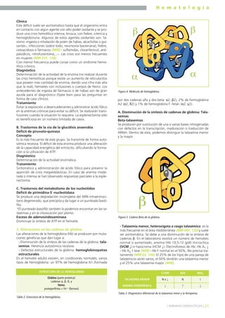 H e m a t o l o g í a
21] ANEMIAS HEMOLÍTICAS [
Clínica
Este déficit suele ser asintomático hasta que el organismo entra
en contacto con algún agente con alto poder oxidante y se pro-
duce una crisis hemolítica intensa, brusca, con fiebre, ictericia y
hemoglobinuria. Algunos de estos agentes oxidantes son: fa-
vismo -ingesta o inhalación de polen de habas, alcachofas o gui-
santes-, infecciones (sobre todo, neumonía bacteriana), fiebre,
cetoacidosis o fármacos (MIR) - sulfamidas, cloranfenicol, anti-
palúdicos, nitrofurantoína,...-. Las crisis son menos frecuentes
en mujeres (MIR 01F, 118).
Con menor frecuencia puede cursar como un síndrome hemo-
lítico crónico.
Diagnóstico
Determinación de la actividad de la enzima (no realizar durante
las crisis hemolíticas porque existe un aumento de reticulocitos
que poseen más cantidad de enzima, dando una cifra más alta
que la real), hematíes con inclusiones o cuerpos de Heinz. Los
antecedentes de ingesta de fármacos o de habas son de gran
ayuda para el diagnóstico (fíjate bien para las preguntas en
forma de caso clínico).
Tratamiento
Evitar la exposición a desencadenantes y administrar ácido fólico
en la anemias crónicas para evitar su déficit. Se realizarán trans-
fusiones cuando la situación lo requiera. La esplenectomía sólo
es beneficiosa en un número limitado de casos.
B. Trastornos de la vía de la glucólisis anaerobia
Déficit de piruvato-quinasa
Concepto
Es la más frecuente de este grupo. Se transmite de forma auto-
sómica recesiva. El déficit de esta enzima produce una alteración
de la capacidad energética del eritrocito, dificultando la forma-
ción o la utilización de ATP.
Diagnóstico
Determinación de la actividad enzimática.
Tratamiento
Sintomático y administración de ácido fólico para prevenir la
aparición de crisis megaloblásticas. En caso de anemia mode-
rada o intensa se han observado respuestas parciales a la esple-
nectomía.
C. Trastornos del metabolismo de los nucleótidos
Déficit de pirimidina-5´-nucleotidasa
Se produce una degradación incompleta del ARN intraeritroci-
tario degenerado, que precipita y da lugar a un punteado basó-
filo.
*El punteado basófilo también lo podemos encontrar en las ta-
lasemias y en la intoxicación por plomo.
Exceso de adenosindesaminasa
Disminuye la síntesis de ATP en el hematíe.
3. Alteraciones en las cadenas de globina
Las alteraciones de la hemoglobina (Hb) se producen por muta-
ciones genéticas que dan lugar a:
- Disminución de la síntesis de las cadenas de la globina: tala-
semias. Herencia autosómica recesiva.
- Defectos estructurales de la globina: hemoglobinopatías
estructurales.
En el hematíe adulto existen, en condiciones normales, varios
tipos de hemoglobina: un 97% de hemoglobina A1 (formada
por dos cadenas alfa y dos beta: α2, β2), 2% de hemoglobina
A2 (α2, δ2) y 1% de hemoglobina F -fetal- (α2, γ2).
A. Disminución de la síntesis de cadenas de globina: Tala-
semias
Beta-talasemias
Se producen por sustitución de una o varias bases nitrogenadas
con defectos en la transcripción, maduración o traducción de
ARNm. Dentro de ésta, podemos distinguir la talasemia menor
y la mayor.
- Talasemia menor, heterocigota o rasgo talasémico: es la
más frecuente en el área mediterránea (MIR 00F, 126) y suele
ser asintomática. Se debe a una disminución de la síntesis de
cadenas β. En el laboratorio existirá un número de hematíes
normal o aumentado, anemia (Hb 10,5-12 g/dl) microcítica
(VCM ↓) e hipocroma (HCM ↓). Electroforesis de Hb: Hb A1 ↓
- Hb A2 ↑ leve (MIR) - Hb F normal en el 50%. No precisa tra-
tamiento (MIR 02, 144). El 25% de los hijos de una pareja de
talasémicos serán sanos, el 50% tendrán una talasemia menor
y el 25% una talasemia mayor (MIR).
CCHM
N o ↓TALASEMIA MENOR
ADE HbA2
ANEMIA FERROPÉNICA ↓
↑
↑↓
N
Tabla 3. Diagnóstico diferencial de la talasemia minor y la ferropenia.
Figura 5. Cadena Beta de la globina.
Figura 4. Molécula de hemoglobina.
Globina (parte proteica):
cadenas α, β, δ, γ
Hemo:
protoporfirina + Fe++ (ferroso)
ESTRUCTURA DE LA HEMOGLOBINA
Tabla 2. Estructura de la hemoglobina.
 