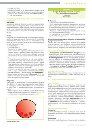 H e m a t o l o g í a
23] ANEMIAS HEMOLÍTICAS [
la Hb (Hb inestables).
- Aumento o disminución de la afinidad por el oxígeno o de la
capacidad de transporte de oxígeno a los tejidos (Hb estables).
- Alteración de la solubilidad de la Hb: hemoglobinopatías S,
C,... Las más frecuentes.
Hemoglobinopatía S, drepanocitosis o anemia de células
falciformes
Mecanismo
La sustitución del ácido glutámico por valina en la posición 6 de
la cadena β de la hemoglobina, lleva a la formación de la lla-
mada hemoglobina S, que es inestable. El acúmulo de polímeros
de Hb S en el interior del hematíe (falciformación) y su posterior
precipitación hacen que éste pierda elasticidad y adquiera forma
de hoz.
Clínica
La clínica es muy variable y va desde formas asintomáticas (rasgo
falciforme) hasta casos severos (homocigotos). El inicio de las
manifestaciones clínicas se produce una vez pasados los 4-6
meses de vida por el efecto protector de la hemoglobina fetal
durante el período neonatal.
Se caracteriza por:
- Síndrome anémico.
- Fenómenos de oclusión vascular:
• Crisis vasooclusivas (agudas): pueden ocurrir en hueso, me-
senterio, cerebro,... y ser espontáneas o secundarias (a infec-
ciones, frío, fiebre,...). Producen mucho dolor y su frecuencia
de aparición se relaciona con la concentración de Hb S y Hb
F.
• Microinfartos (crónicos): suelen ser más frecuentes los in-
fartos subclínicos, sobre todo en riñón (hipostenuria), huesos,
piel (úlceras maleolares), cerebro, pulmón, corazón,... Puede
llegar a producirse un hipoesplenismo por infartos esplénicos
repetidos, favoreciendo las infecciones por gérmenes encap-
sulados (S. pneumoniae, H. influenzae).
- Infecciones de repetición: la principal causa es el hipoesple-
nismo. La sepsis neumocócica es la causa más frecuente de
muerte en estos niños y también pueden tener osteomielitis,
casi siempre por bacterias del género Salmonella (MIR). Los
eritrocitos portadores de Hb S son resistentes a la infección
por P. falciparum, que causa malaria.
Diagnóstico
Electroforesis de hemoglobinas con presencia de HbS (40%) y
HbA (60%) en los casos heterocigotos o solo HbS, sin HbA en
los homocigotos. La hemoglobina fetal suele estar aumentada
en ambos casos. La prueba de inducción a la falciformación es
positiva.
- Frotis sanguíneo: células falciformes, cuerpos de Howell-Jolly
(también pueden estar presentes en la asplenia (MIR 03, 71)
y en las anemias megaloblásticas), cuerpos de Heinz.
Tratamiento
- Transfusión de concentrados de hematíes.
- Crisis vasooclusivas: hidratación (para evitar la falciforma-
ción), analgesia, fármacos antidrepanocíticos que aumentan
la síntesis de Hb F y disminuyen la polimerización de la Hb S
(hidroxiurea, butirato, azacitidina, citarabina).
- Prevención y tratamiento precoz de las infecciones: vacuna-
ción contra gérmenes encapsulados.
- La esplenectomía no tiene valor, a diferencia de otras ane-
mias hemolíticas congénitas.
Otras hemoblobinopatías con alteración de la solubilidad
y carga electroforética
Las HbC, HbD y HbE se producen por mutación en las cadenas
de la hemoglobina y dan movilidades electroforéticas anorma-
les. No suelen falciformar. La clínica es variable pero en general
menos grave que la drepanocitosis (HbS) incluso asintomáticas.
Alteración de la afinidad por el oxígeno
- Hemoglobinas con alta afinidad por el oxígeno: se pro-
duce una hipoxia tisular crónica que se manifiesta como una
poliglobulia familiar (por aumento de la eritropoyesis). En la
metahemoglobinemia la unión al oxígeno no es reversible y
si la concentración de metahemoglobina es >50-60% de la
Hb total, puede ser mortal. Suele ser secundaria a la exposición
a nitratos, aunque existen formas congénitas. El tratamiento
consiste en la administración de azul de metileno intravenoso.
- Hemoglobinas con baja afinidad por el oxígeno: se pro-
duce anemia y cianosis, son menos frecuentes.
Hemoblobinas inestables
Mutación en las cadenas de globinas que precitipan dentro del
hematíe dando cuerpos de Heinz y cuadros hemolíticos muy se-
veros.
8.4.- Anemias hemolíticas adquiridas
Hiperesplenismo
El bazo es el encargado de eliminar las células circulantes de la
sangre cuando finalizan su ciclo vital. Además “limpia” las célu-
las de determinados defectos para que conserven su permanen-
cia en la circulación. Cuando aumenta de tamaño
(esplenomegalia), también aumentan sus funciones (hiperesple-
nismo), por lo que aumenta la retención de células sanguíneas.
Hay que buscar siempre la causa responsable: hipertensión por-
tal, infecciones, síndrome linfoproliferativo, enfermedades de
depósito, colagenosis,... La principal manifestación de este fe-
nómeno es la anemia, pero puede asociar otras citopenias.
El tratamiento es el de la causa que lo produce. La esplenec-
tomía raramente está indicada como tratamiento de primera
línea.
Anemias hemolíticas inmunes
Patogenia
La anemias hemolíticas inmunes se producen por la acción de
anticuerpos (Ac) dirigidos contra diferentes antígenos (Ag) eri-
trocitarios.
Diagnóstico
El principal método diagnóstico es la prueba de la antiglobulina
Cuerpos de Heinz (gránulos de Hb precipitada):
Déficit glucosa-6-fosfato deshidrogenasa
Talasemias
Drepanocitosis
RECUERDA
Figura 9. Cuerpos de Heinz.
 