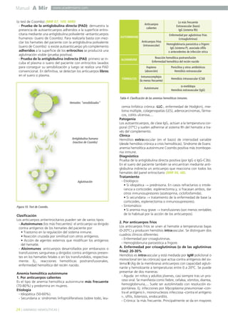 Manual A Mir
24 ] ANEMIAS HEMOLÍTICAS [
www.academiamir.com
(o test de Coombs) (MIR 07, 109; MIR):
- Prueba de la antiglobulina directa (PAD): demuestra la
presencia de autoanticuerpos adheridos a la superficie eritro-
citaria mediante una antiglobulina polivalente -antianticuerpos
humanos- (suero de Coombs). Para realizarla basta con mez-
clar los hematíes del paciente con la antiglobulina polivalente
(suero de Coombs): si existe autoanticuerpo y/o complemento
adheridos a la superficie de los eritrocitos se producirá una
aglutinación visible (prueba positiva).
- Prueba de la antiglobulina indirecta (PAI): primero se in-
cuba el plasma o suero del paciente con eritrocitos lavados
para conseguir su sensibilización y luego se realiza una PAD
convencional. En definitiva, se detectan los anticuerpos libres
en el suero o plasma.
Clasificación
Los anticuerpos antieritrocitarios pueden ser de varios tipos:
- Autoinmunes (los más frecuentes): el anticuerpo va dirigido
contra antígenos de los hematíes del paciente por:
• Trastorno en la regulación del sistema inmune.
• Reacción cruzada por similitud con otros antígenos.
• Acción de agentes externos que modifican los antígenos
del hematíe.
- Aloinmunes: anticuerpos desarrollados por embarazos o
transfusiones sanguíneas y dirigidos contra antígenos presen-
tes en los hematíes fetales o en los transfundidos, respectiva-
mente. Ej., reacciones hemolíticas postransfusionales,
enfermedad hemolítica del recién nacido.
Anemia hemolítica autoinmune
1. Por anticuerpos calientes
Es el tipo de anemia hemolítica autoinmune más frecuente
(70-80%) y predomina en mujeres.
Etiología
- Idiopática (50-60%).
- Secundaria a: síndromes linfoproliferativos (sobre todo, leu-
cemia linfática crónica -LLC-, enfermedad de Hodgkin), mie-
loma múltiple, colagenopatías (LES), adenocarcinomas, fárma-
cos, colitis ulcerosa,...
Patogenia
Los autoanticuerpos, de clase IgG, actúan a la temperatura cor-
poral (37ºC) y suelen adherirse al sistema Rh del hematíe a tra-
vés del complemento.
Clínica
Hemólisis extravascular (en el bazo) de intensidad variable
(desde hemólisis crónica a crisis hemolíticas). Síndrome de Evans:
anemia hemolítica autoinmune Coombs positiva más trombope-
nia inmune.
Diagnóstico
Prueba de la antiglobulina directa positiva (por IgG o IgG-C3b).
En el suero del paciente también se encuentran mediante anti-
globulina indirecta un anticuerpo que reacciona con todos los
hematíes del panel eritrocitario (MIR 04, 68).
Tratamiento
- Etiológico:
• Si idiopática → prednisona. En casos refractarios o intole-
rancia a corticoides: esplenectomía y, si fracasan ambos, dar
otros inmunosupresores (azatioprina, ciclofosfamida).
• Si secundaria → tratamiento de la enfermedad de base (±
corticoides, esplenectomía o inmunosupresores).
- Sintomático:
• Si anemia muy grave → transfusiones (son menos rentables
de lo habitual por la acción de los anticuerpos).
2. Por anticuerpos fríos
Los anticuerpos fríos se unen al hematíe a temperaturas bajas
(0-20ºC) y producen hemólisis intravascular. Se distinguen dos
cuadros clínicos diferentes:
- Enfermedad por crioaglutininas.
- Hemoglobinuria paroxística a frigore.
A. Enfermedad por crioaglutininas (o de las aglutininas
frías): 20-30%
Hemólisis es intravascular y está mediada por IgM policlonal o
monoclonal (en las crónicas) que actúa contra antígenos del sis-
tema Ii (Ag de la membrana) anticuerpos con capacidad agluti-
nante y hemolizante a temperaturas entre 0 a 20ºC. Se puede
presentar de dos maneras:
- Aguda: en niños y adultos jóvenes, casi siempre tras un pro-
ceso viral. Se manifiesta como fiebre, cefalea, vómitos, diarrea,
hemoglobinuria,... Suele ser autolimitado con resolución es-
pontánea. Ej: infecciones por Mycoplasma pneumoniae -con-
tra el antígeno I-, mononucleosis infecciosa -contra el antígeno
i-, sífilis, listeriosis, endocarditis.
- Crónica: la más frecuente. Principalmente se da en mayores
Figura 10. Test de Coombs.
Hematíes “sensibilizados”
Antiglobulina humana
(reactivo de Coombs)
Aglutinación
AUTOINMUNE
Anticuerpos
calientes
Lo más frecuente
Extravascular (bazo)
IgG (sistema Rh)
Anticuerpos fríos
(intravascular)
Reacción hemolítica postransfusión
Enfermedad hemolítica del recién nacido
Enfermedad por aglutininas frías
(crioaglutininas)
Hemoglobinuria paroxística a frigore:
IgG (sistema P), asociada sífilis
o antecedentes de infección vírica
ALOINMUNE
Hapteno
(absorción)
Penicilina y otros antibióticos
Hemólisis extravascular
Inmunocomplejos
(la menos frecuente)
Hemólisis intravascular (C3d)FÁRMACOS
Autoinmune
α-metildopa
Hemólisis extravascular (IgG)
Tabla 4. Clasificación de las anemias hemolíticas inmunes.
 