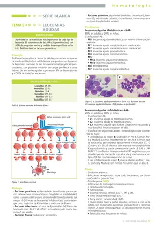 H e m a t o l o g í a
27] LEUCEMIAS AGUDAS [
Concepto
Proliferación neoplásica clonal de células precursoras incapaces
de madurar (blastos) en médula ósea que produce un descenso
de las células normales de las tres series hematopoyéticas (pan-
citopenia), con posterior invasión de sangre periférica y otros
tejidos. Las leucemias agudas suponen un 3% de las neoplasias
y el 50% de todas las leucemias.
Etiología
- Factores genéticos: enfermedades hereditarias que cursan
con alteraciones cromosómicas (fragilidad o inestabilidad)
como la anemia de Fanconi, síndrome de Down (aumento del
riesgo 10-20 veces de leucemias linfoblásticas), ataxia-telan-
giectasia, síndrome de Klinefelter o síndrome de Bloom.
- Factores infecciosos: el virus de Epstein-Barr (VEB) está re-
lacionado con LAL-L3, el HTLV-1 está relacionado con la leu-
cemia T del adulto.
- Factores físicos: radiaciones ionizantes.
- Factores químicos: alquilantes (melfalán, clorambucil), ben-
ceno (Ej. industria del calzado), cloranfenicol, inmunosupreso-
res (post-trasplantados renales).
Clasificación
Leucemias Agudas Mieloblásticas -LAM-
80% en adultos y 20% en niños.
Clasificación FAB:
- M0: leucemia aguda mieloblástica con mínima diferenciación
mieloide.
- M1: leucemia aguda mieloblástica sin maduración.
- M2: leucemia aguda mieloblástica con maduración.
- M3: leucemia aguda promielocítica.
- M4: leucemia aguda mielomonocítica.
- M5:
• M5a: leucemia aguda monoblástica.
• M5b: leucemia aguda monocítica.
- M6: eritroleucemia.
- M7: leucemia aguda megacarioblástica.
Leucemias Agudas Linfoblásticas -LAL-
20% en adultos y 80% en niños.
- Clasificación FAB:
• L1: leucemia aguda de blastos pequeños.
• L2: leucemia aguda de blastos grandes.
• L3: leucemia aguda tipo Burkitt (citoplasma vacuolado y
muy basófilo). Relacionada con el VEB.
- Clasificación según marcadores inmunológicos (por citome-
tría de flujo):
• Linfoblásticas de origen B: se dividen en Pro-B, Común, Pre-
B y Madura. Las más importantes son la LAL-B Común, que
se caracteriza por expresar típicamente el marcador CD10
(CALLA), y la LAL-B Madura, que expresa inmunoglobulinas
Kappa o Lambda y que se corresponde con la L3 (LAL o LNH
BURKITT) con blastos hipervacuolados PAS negativos con po-
sitividad para la tinción de rojo al aceite y con translocación
típica t(8;14) con sobreexpresión de c-myc .
• Las linfoblásticas de origen T, que se dividen en Pro-T, pre-
T, Cortical y Madura; son menos frecuentes que las LAL-B.
Clínica
- Síndrome anémico.
- Infecciones de repetición: sobre todo bacterianas, por dismi-
nución de los granulocitos.
- Trombopenia (MIR).
- Infiltración de tejidos por células leucémicas:
• Hepatoesplenomegalia.
• Adenopatías.
• Sistema nervioso central: LAL-T, M4 y M5.
• Timo (masa mediastínica): LAL-T.
• Piel y encías: variantes M4 y M5.
• Hueso (dolor óseo) y partes blandas: es típico a nivel de la
órbita, son los llamados sarcomas granulocíticos o cloromas
(tienen un color verdoso porque las células contienen mucha
mieloperoxidasa).
• Testículos (más frecuente en niños).
SERIE BLANCA
TEMA 9 LEUCEMIAS
AGUDAS
Apréndete las características más importantes de cada tipo de
leucemia. El tratamiento de la LAM-M3 (promielocítica) con
ATRA lo preguntan mucho y también la neuroprofilaxis en las
LAL. Estúdiate bien los factores pronósticos.
ENFOQUE MIR
VALORES NORMALES (X 109/L)
Tabla 1. Valores normales de la serie blanca.
Figura 1. Serie blanca normal.
Célula precursora (stem cell)
Célula primordial mieloide Precursores linfoides
Macrófago
Figura 2. A. Leucemia aguda promielocitica (LAM M3). Bastones de Auer.
B. Leucemia aguda linfoblastica L3 (B-Madura o tipo Burkitt).
A B
Leucocitos:
Neutrófilos:
Linfocitos:
Monocitos:
Basófilos:
Eosinófilos:
4,5-11,5
2,5-7,5
1,3-4
0,15-0,9
0,01-0,15
0,05-0,5
Linfocito B Linfocito T Célula NK
Plaquetas Basófilo Eosinófilo Monocito Neutrófilo Eritrocito Plasmocito
 