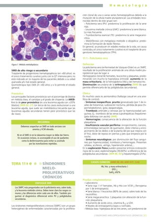 H e m a t o l o g í a
31] SÍNDROMES MIELOPROLIFERATIVOS CRÓNICOS [
SMD de alto riesgo o secundario
Trasplante de progenitores hematopoyéticos (en <60 años): es
el único tratamiento curativo junto con la QT intensiva pero no
está indicado en la mayoría de los pacientes debido a su edad
avanzada y/o mal estado general.
Quimioterapia tipo LMA en >60 años y si lo permite el estado
general.
Pronóstico
Los principales factores pronósticos son el porcentaje de blastos
en médula ósea, el cariotipo y el grado de citopenia. La AREB-
t es la de peor pronóstico (es una leucemia aguda con >20%
blastos) (MIR 00, 27). Un tercio de los casos evolucionan a una
leucemia aguda, que suele ser mieloblástica (recuerda que las
leucemias agudas secundarias tienen peor pronóstico que las
de novo).
Los síndromes mieloproliferativos crónicos (SMPC) son un grupo
heterogéneo de enfermedades caracterizadas por la prolifera-
ción clonal de una o varias series hematopoyéticas debido a la
mutación de la célula madre pluripotencial. Las entidades reco-
nocidas dentro de este grupo son:
- Policitemia vera (PV): predomina la proliferación de la serie
roja.
- Leucemia mieloide crónica (LMC): predomina la serie blanca.
La más frecuente.
- Trombocitemia esencial (TE): predomina la serie megacario-
cítica.
- Mielofibrosis con metaplasia mieloide o idiopática: predo-
mina la formación de tejido fibroso.
En general, se producen en edades medias de la vida, sin causa
conocida y el único tratamiento curativo es el trasplante de pro-
genitores hematopoyéticos (TPH).
11.1.- Policitemia vera
Definición
La policitemia vera (enfermedad de Vázquez-Osler) es un SMPC
resultado de la proliferación anómala de una célula madre plu-
ripotencial que da lugar a:
Hemopoyesis clonal de hematíes, leucocitos y plaquetas, predo-
minando con mucho la hiperplasia eritroide: aumento de la
masa eritocitaria, de la hemoglobina (Hb) y del hematocrito.
Disminución secundaria de la eritropoyetina (MIR) (lo que
permite diferenciarla de las poliglobulias secundarias).
Clínica
En muchos casos es asintomática (hallazgo casual en una ana-
lítica de control).
- Síntomas inespecíficos: prurito generalizado (por ↑ de ni-
veles de histamina), sudoración nocturna, pérdida de peso (hi-
permetabolismo), gota, epigastralgias.
- Trombosis arteriales y venosas por la hiperviscosidad san-
guínea. Ej.: trombosis de las venas suprahepáticas (hepatome-
galia dolorosa con ascitis) (MIR).
- Hemorragias: consecuencia de la alteración de la función
plaquetaria.
- Insuficiencia vascular periférica: enrojecimiento, cianosis,
eritromelalgia (sensación de quemazón, dolor intenso y enro-
jecimiento de los dedos o de la planta del pie que mejora con
el frío), dolor de reposo en piernas y pies que empeora por la
noche.
- Síntomas neurológicos: por disminución del flujo sanguí-
neo por hiperviscosidad, trombosis y hemorragias. Presentan
cefalea, acúfenos, vértigo, hipertensión arterial,...
En la exploración física pueden presentar eritrosis (coloración
rojiza de la cara), esplenomegalia (30-60%) -a diferencia de las
poliglobulias secundarias- (MIR 98, 93) y hepatomegalia (25%).
Pruebas complementarias
- Laboratorio:
• Serie roja: ↑ nº hematíes, Hb y Hto con VCM ↓ (ferropenia
por ↑ de eritropoyesis).
• Serie blanca: ↑ leucocitos (80% de casos), sobre todo de los
neutrófilos.
• Serie megacariocítica: ↑ plaquetas con alteración de la fun-
ción plaquetaria.
• Aumento de ácido úrico, vitamina B12 y LDH.
• Niveles de eritropoyetina bajos o normales.
- Médula ósea: hiperplasia de las tres series, con predominio de
Figura 1. Médula mielodisplásica.
Debemos sospechar un SMD en todo anciano con
anemia y VCM elevado.
Ni en el SMD ni en la talasemia mayor se debe dar hierro.
En ocasiones incluso, es aconsejable el uso de quelantes
como la desferroxamina para evitar su acúmulo
por las transfusiones repetidas.
RECUERDA
TEMA 11 SÍNDROMES
MIELO-
PROLIFERATIVOS
CRÓNICOS
Los SMPC más preguntados son la policitemia vera, sobre todo,
y la leucemia mieloide crónica. Debes tener claro los rasgos co-
munes y las diferencias entre cada uno de ellos. También pre-
guntan el diagnóstico diferencial entre PV y poliglobulias
secundarias.
ENFOQUE MIR
Hb, hto. y masa eritrocitaria ↑
EPO ↓
SatO2 ≥92%
CASOS CLÍNICOS (MIR 98, 89; MIR 97F, 124)
 