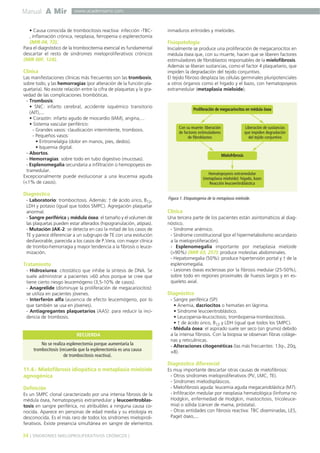 Manual A Mir
34 ] SÍNDROMES MIELOPROLIFERATIVOS CRÓNICOS [
www.academiamir.com
• Causa conocida de trombocitosis reactiva: infección -TBC-
, inflamación crónica, neoplasia, ferropenia o esplenectomía
(MIR 04, 72).
Para el diagnóstico de la trombocitemia esencial es fundamental
descartar el resto de síndromes mieloproliferativos crónicos
(MIR 00F, 124).
Clínica
Las manifestaciones clínicas más frecuentes son las trombosis,
sobre todo, y las hemorragias (por alteración de la función pla-
quetaria). No existe relación entre la cifra de plaquetas y la gra-
vedad de las complicaciones trombóticas.
- Trombosis:
• SNC: infarto cerebral, accidente isquémico transitorio
(AIT),...
• Corazón: infarto agudo de miocardio (IAM), angina,...
• Sistema vascular periférico:
- Grandes vasos: claudicación intermitente, trombosis.
- Pequeños vasos:
• Eritromelalgia (dolor en manos, pies, dedos).
• Isquemia digital.
- Abortos.
- Hemorragias: sobre todo en tubo digestivo (mucosas).
- Esplenomegalia secundaria a infiltración o hemopoyesis ex-
tramedular.
Excepcionalmente puede evolucionar a una leucemia aguda
(<1% de casos).
Diagnóstico
- Laboratorio: trombocitosis. Además: ↑ de ácido úrico, B12,
LDH y potasio (igual que todos SMPC). Agregación plaquetar
anormal.
- Sangre periférica y médula ósea: el tamaño y el volumen de
las plaquetas pueden estar alterados (hipogranulación, atípias).
- Mutación JAK-2: se detecta en casi la mitad de los casos de
TE y parece diferenciar a un subgrupo de TE con una evolución
desfavorable, parecida a los casos de P.Vera, con mayor clínica
de trombo-hemorragia y mayor tendencia a la fibrosis o leuce-
mización.
Tratamiento
- Hidroxiurea: citostático que inhibe la síntesis de DNA. Se
suele administrar a pacientes >60 años porque se cree que
tiene cierto riesgo leucemógeno (3,5-10% de casos).
- Anagrelide (disminuye la proliferación de megacariocitos):
se utiliza en pacientes jóvenes.
- Interferón alfa (ausencia de efecto leucemógeno, por lo
que también se usa en jóvenes).
- Antiagregantes plaquetarios (AAS): para reducir la inci-
dencia de trombosis.
11.4.- Mielofibrosis idiopática o metaplasia mieloide
agnogénica
Definición
Es un SMPC clonal caracterizado por una intensa fibrosis de la
médula ósea, hematopoyesis extramedular y leucoeritroblas-
tosis en sangre periférica, no atribuibles a ninguna causa co-
nocida. Aparece en personas de edad media y su etiología es
desconocida. Es el más raro de todos los síndromes mieloproli-
ferativos. Existe presencia simultánea en sangre de elementos
inmaduros eritroides y mieloides.
Fisiopatología
Inicialmente se produce una proliferación de megacariocitos en
médula ósea que, con su muerte, hacen que se liberen factores
estimuladores de fibroblastos responsables de la mielofibrosis.
Además se liberan sustancias, como el factor 4 plaquetario, que
impiden la degradación del tejido conjuntivo.
El tejido fibroso desplaza las células germinales pluripotenciales
a otros órganos como el hígado y el bazo, con hematopoyesis
extramedular (metaplasia mieloide).
Clínica
Una tercera parte de los pacientes están asintomáticos al diag-
nóstico.
- Síndrome anémico.
- Síndrome constitucional (por el hipermetabolismo secundario
a la mieloproliferación).
- Esplenomegalia importante por metaplasia mieloide
(>90%) (MIR 03, 257): produce molestias abdominales.
- Hepatomegalia (50%): produce hipertensión portal y ↑ de la
esplenomegalia.
- Lesiones óseas esclerosas por la fibrosis medular (25-50%),
sobre todo en regiones proximales de huesos largos y en es-
queleto axial.
Diagnóstico
- Sangre periférica (SP):
• Anemia, dacriocitos o hematíes en lágrima.
• Síndrome leucoeritroblástico.
• Leucopenia-leucocitosis; trombopenia-trombocitosis.
• ↑ de ácido úrico, B12 y LDH (igual que todos los SMPC).
- Médula ósea: el aspirado suele ser seco (sin grumo) debido
a la intensa fibrosis. Con la biopsia se observan fibras coláge-
nas y reticulínicas.
- Alteraciones citogenéticas (las más frecuentes: 13q-, 20q,
+8).
Diagnóstico diferencial
Es muy importante descartar otras causas de mielofibrosis:
- Otros síndromes mieloproliferativos (PV, LMC, TE).
- Síndromes mielodisplásicos.
- Mielofibrosis aguda: leucemia aguda megacarioblástica (M7).
- Infiltración medular por neoplasia hematológica (linfoma no
Hodgkin, enfermedad de Hodgkin, mastocitosis, tricoleuce-
mia) o sólida (cáncer de mama, próstata).
- Otras entidades con fibrosis reactiva: TBC diseminadas, LES,
Paget óseo,...
No se realiza esplenectomía porque aumentaría la
trombocitosis (recuerda que la esplenectomía es una causa
de trombocitosis reactiva).
RECUERDA
Figura 1. Etiopatogenia de la metaplasia mieloide.
Proliferación de megacariocitos en médula ósea
Mielofribrosis
Con su muerte: liberación
de factores estimuladores
de fibroblastos
Liberación de sustancias
que impiden degradación
del tejido conjuntivo
Hematopoyesis extramedular
(metaplasia mieloide): hígado, bazo
Reacción leucoeritroblástica
 