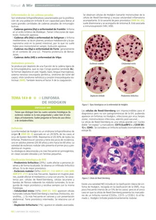 Manual A Mir
44 ] LINFOMA DE HODGKIN [
www.academiamir.com
Enfermedades de las cadenas pesadas
Son síndromes linfoproliferativos caracterizados por la prolifera-
ción de una población linfoide B con capacidad para liberar al
suero grandes cantidades de cadenas pesadas de inmunoglo-
bulinas.
- Cadenas gamma (Hγ) o enfermedad de Franklin: linfoma
en el anillo linfático de Waldeyer. Tienen infecciones de repe-
tición. Evolución agresiva.
- Cadenas alfa (Hα) o enfermedad de Seligman o linfoma
mediterráneo: se da en jóvenes, produce malabsorción y la pa-
raproteína está en la pared intestinal, por lo que no suele
haber pico monoclonal en sangre. Evolución agresiva.
- Cadenas mu (Hµ) o enfermedad de Forte: generalmente
en el contexto de una LLC. Presenta proteinuria de Bence-
Jones.
- Cadenas delta (Hδ) o enfermedad de Vilpo.
Amiloidosis primaria
Se produce por depósito de una fracción de la cadena ligera de
la inmunoglobulina, que es rojo Congo positiva (amiloide AL).
Se forman depósitos en piel, hígado, bazo, lengua (macroglosia),
sistema nervioso (neuropatía periférica, síndrome del túnel del
carpo), riñón (síndrome nefrótico) y corazón (miocardiopatía res-
trictiva) (MIR). También lesiona el factor X de la coagulación.
Definición
La enfermedad de Hodgkin es un síndrome linfoproliferativo de
origen B (MIR 00, 9) asociado en un 20-50% de los casos al
virus de Epstein Barr (VEB). Representa el 20-30% de todos los
linfomas. Predomina en varones y tiene dos picos de incidencia,
uno en adultos jóvenes (20-30 años) y otro hacia los 60 años. La
variedad de esclerosis nodular sólo presenta el primer pico y pre-
domina en mujeres.
Su etiología es desconocida y es más frecuente en primogénitos,
en clases sociales elevadas y en familias pequeñas.
Clasificación histológica de RYE
- Predominio linfocítico (29%): suele afectar a personas jó-
venes y de forma localizada. Se observa un infiltrado linfocítico
difuso. Es la de mejor pronóstico.
- Esclerosis nodular (54%) (MIR 07, 113; MIR 01, 230; MIR;
MIR 01F, 217): es la más frecuente. Aparece en mujeres jóve-
nes, puede afectar el mediastino y cursa con prurito. Se carac-
teriza por: células de Reed-Sternberg, células lacunares y
bandas de fibrosis rodeando los nódulos tumorales. Es la se-
gunda de mejor pronóstico y recidiva siempre con la misma
histología.
- Celularidad mixta (16%) (MIR 03, 145): aparecen células
tumorales (células Reed-Sternberg) y reactivas (histiocitos, eo-
sinófilos,...). Es más frecuente en varones y con presentación
abdominal. Tiene pronóstico intermedio. Se relaciona con el
VEB.
- Depleción linfocitaria (1%): aparece en edades avanzadas.
Se observan células de Hodgkin (variante mononuclear de la
célula de Reed-Sternberg) y escasa celularidad inflamatoria
acompañante. Es la variante de peor pronóstico (MIR 04, 65),
suele diseminarse y se acompaña de síntomas B. Está asociada
a inmunosupresión (VIH, VEB).
Las células de Reed-Sternberg son imprescindibles para el
diagnóstico pero no son patognomónicas de la EH, pudiendo
aparecer en linfomas no Hodgkin, infecciones por virus herpes
zoster, mononucleosis infecciosa, adenitis post-vacunal,...
La célula de Reed-Sternberg es una célula grande con núcleo
doble “en espejo” y marcadores: CD15 (LueM1) + y CD30 (Ki-
1) +, CD45-. Se considera un linfocito activado (normalmente de
estirpe B).
Existe una variedad NO incluida en la clasificación clásica de Lin-
foma de Hodgkin, recogida en la clasificación de la OMS, muy
poco frecuente (menos de un 5% de los casos) pero es el único
caso en que la célula de Reed-Sternberg presenta los marcado-
res de un linfocito normal (CD20+, CD15- y CD30-). Es el lla-
mado L. Hodgkin linfoide predominantemente nodular.
TEMA 14 LINFOMA
DE HODGKIN
Tienes que distinguir bien las cuatro variantes histológicas (la
esclerosis nodular es la más preguntada) y saber bien el esta-
diaje y el tratamiento. Suelen preguntar en forma de caso clínico
o de verdadero/falso.
ENFOQUE MIR
Figura 1. Tipos histológicos en la enfermedad de Hodgkin.
Esclerosis nodular Celularidad mixta
Depleción linfoide Predominio linfocítico
Figura 2. Célula de Reed-Sternberg.
 