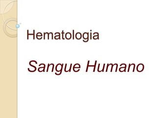 Hematologia
Sangue Humano
 