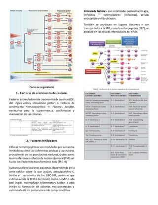Como se regula todo
1.- Factores de crecimiento de colonias
Factoresestimuladoresde crecimientode colonias(CSF,
del inglés colony stimulation factor) o factores de
crecimiento hematopoyético  Factores solubles
necesarios para la supervivencia, proliferación y
maduración de las colonias.
2.- Factores Inhibidores
Células hematopoyéticas son moduladas por sustancias
inhibidoras como las isoferritinas acidicas y las chalonas
procedentes de los granulocitosmaduros, u otras como
losinterferonesoel factorde necrosistumoral (TNF)yel
factor de crecientito transformante beta (TFG-B)
Sustancias tiene acciones opuestas, dependiendo de la
serie celular sobre la que actúan, prostaglandina E,
inhibe el crecimiento de las UFC-GM, mientras que
estimula el de la BFU-E del mismo modo, la MIP-1 alfa
(del inglés macrophage inflammatory protein-1 alfa)
inhibe la formación de colonias multipotenciales y
estimula la de los precursores más comprometidos
Síntesisde factores:sonsintetizadasporlosmacrófagos,
linfocitos T estimuladores (linfocinas), células
endoteliales y fibroblastos.
También se producen en lugares distantes y son
transportadosa la MO, como la eritropoyetina(EPO),se
produce en las células intersticiales del riñón.
 