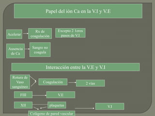 Papel del ión Ca en la V.I y V.E
Acelerar
Rx de
coagulación
Excepto 2 1eros
pasos de V.I
Ausencia
de Ca
Sangre no
coagula
Interacción entre la V.E y V.I
Rotura de
Vaso
sanguíneo
Coagulación 2 vías
FIII V.E
XII plaquetas
Colágeno de pared vascular
V.I
 