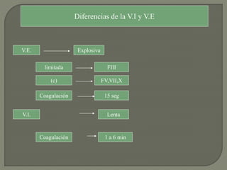 Diferencias de la V.I y V.E
V.E. Explosiva
limitada FIII
(c) FV,VII,X
Coagulación 15 seg
V.I. Lenta
Coagulación 1 a 6 min
 