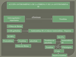 ACCIÓN ANTIROMBÍNICA DE LA FIBRINA Y DE LAANTITROMBINA
III
Anticoagulantes +
importantes
Trombina
eliminan
1.Fibras de fibrina
2.Alfa globulina Antitrombina III o Cofactor Antitrombina - Heparina
85-90%
Protrombina Trombina
Fibras de fibrina
10-15%
adsorbida Trombina no
adsorbida
Antitrombina
III
Trombina Fibrinógeno
12 min
Inactiva trombina
 