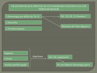 TRASTORNOS QUE PROVOCAN UN SANGRADO EXCESIVO EN LOS
SERES HUMANOS
1.Hemorragia por déficit de Vit. K
2.Hemofilia
3.Trombocitopenia
FII, VII, IX, X, Proteína C
Bacterias del Tubo digestivo
Hepatitis
Cirrosis
Atrofia amarilla aguda
deprimen Sist. De coagulación
Px con Diátesis hemorragia grave
 