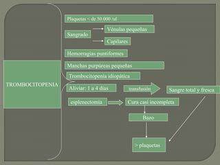TROMBOCITOPENIA
Plaquetas < de 50 000 /ul
Sangrado
Vénulas pequeñas
Capilares
Hemorragias puntiformes
Manchas purpúreas pequeñas
Trombocitopenia idiopática
Aliviar: 1 a 4 días transfusión Sangre total y fresca
esplenectomía Cura casi incompleta
> plaquetas
Bazo
 