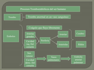 Procesos Tromboembólicos del ser humano
Trombo
Émbolos
Trombo anormal en un vaso sanguíneo
Coágulo que fluye libremente
Arterias
grandes
Cavidad
izq. Del
corazón
Periferia
Arterias
Arteriolas Riñón
Cerebro
Sist.
venoso
Cavidad
derec. Del
corazón
Vasos
pulmonares
Embolia
arterial
pulmonar
 