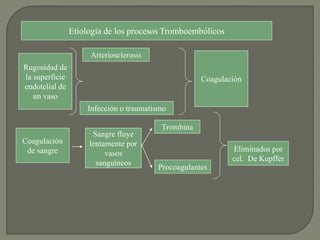 Etiología de los procesos Tromboembólicos
Rugosidad de
la superficie
endotelial de
un vaso
Arteriosclerosis
Infección o traumatismo
Coagulación
Coagulación
de sangre
Sangre fluye
lentamente por
vasos
sanguíneos
Trombina
Procoagulantes
Eliminados por
cel. De Kupffer
 
