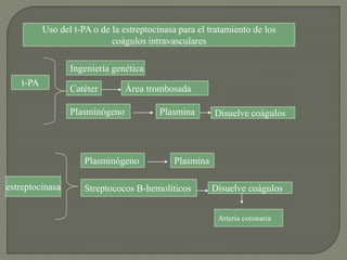 Uso del t-PA o de la estreptocinasa para el tratamiento de los
coágulos intravasculares
t-PA
Ingeniería genética
Catéter Área trombosada
Plasminógeno Plasmina Disuelve coágulos
estreptocinasa
Plasminógeno Plasmina
Streptococos B-hemolíticos Disuelve coágulos
Arteria coronaria
 