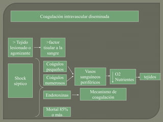 Coagulación intravascular diseminada
> Tejido
lesionado o
agonizante
>factor
tisular a la
sangre
Shock
séptico
Coágulos
pequeños
Coágulos
numerosos
Vasos
sanguíneos
periféricos
Endotoxinas
Mecanismo de
coagulación
O2
Nutrientes
tejidos
Mortal 85%
o más
 