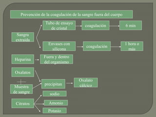 Prevención de la coagulación de la sangre fuera del cuerpo
Sangra
extraída
Tubo de ensayo
de cristal
6 mincoagulación
Envases con
silicona
coagulación
1 hora o
más
Heparina
Fuera y dentro
del organismo
Oxalatos
Muestra
de sangre
precipitan
Oxalato
cálcico
Citratos
sodio
Amonio
Potasio
 
