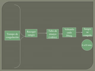 Tiempo de
coagulación
Recoger
sangre
Tubo de
ensayo
(vidrio)
Voltearlo
cada
30seg.
Sangre
se
coagula
6 a10 min.
 