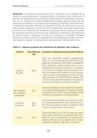 HEMATOLOGIA FISIOLOGIA Y FISIOPATOLOGIA.pdf