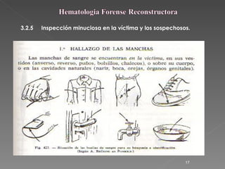 3.2.5 Inspección minuciosa en la víctima y los sospechosos.   