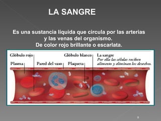 LA SANGRE Es una sustancia líquida que circula por las arterias y las venas del organismo.  De color rojo brillante o escarlata . 